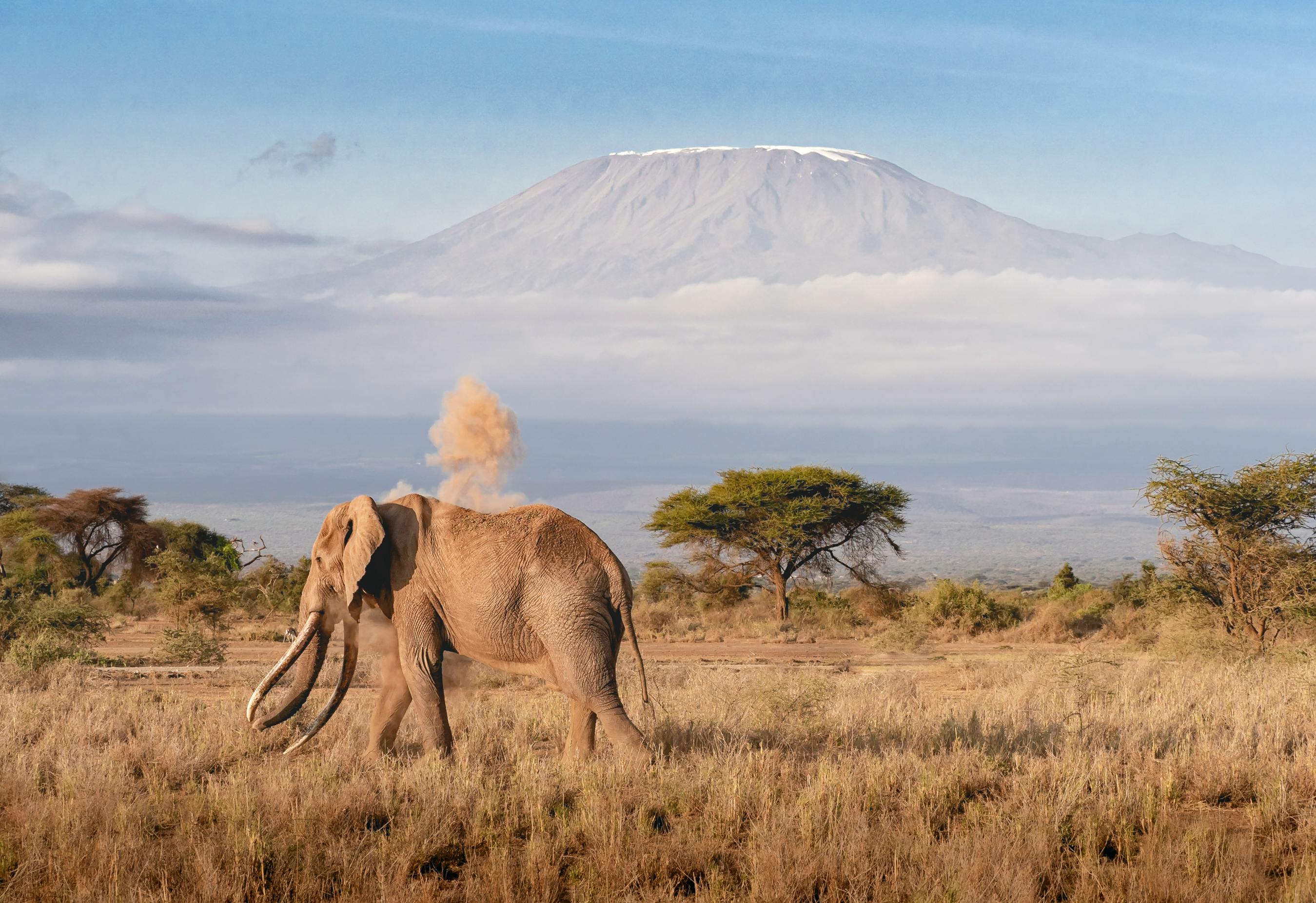 3 Days Tanzania Safari – Serengeti, Ngorongoro & Tarangire
