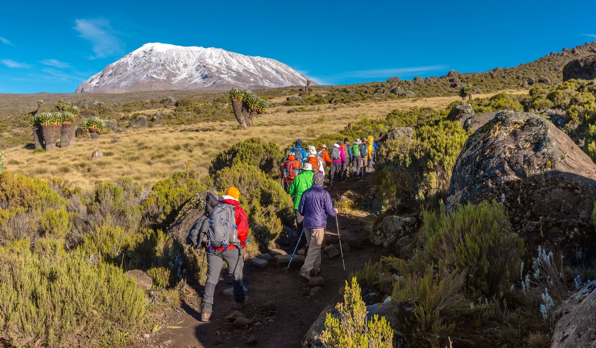 Marangu Gate Kilimanjaro 5-day trek starting point 2026