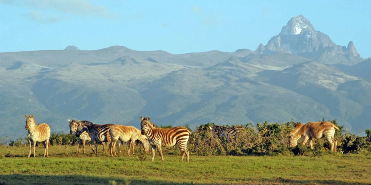 Mount Kenya hiking during 4 days